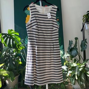NWT J.Crew Striped Pleated Shift Dress Size 6
